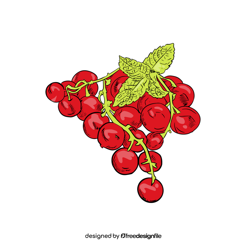 Red Currant clipart