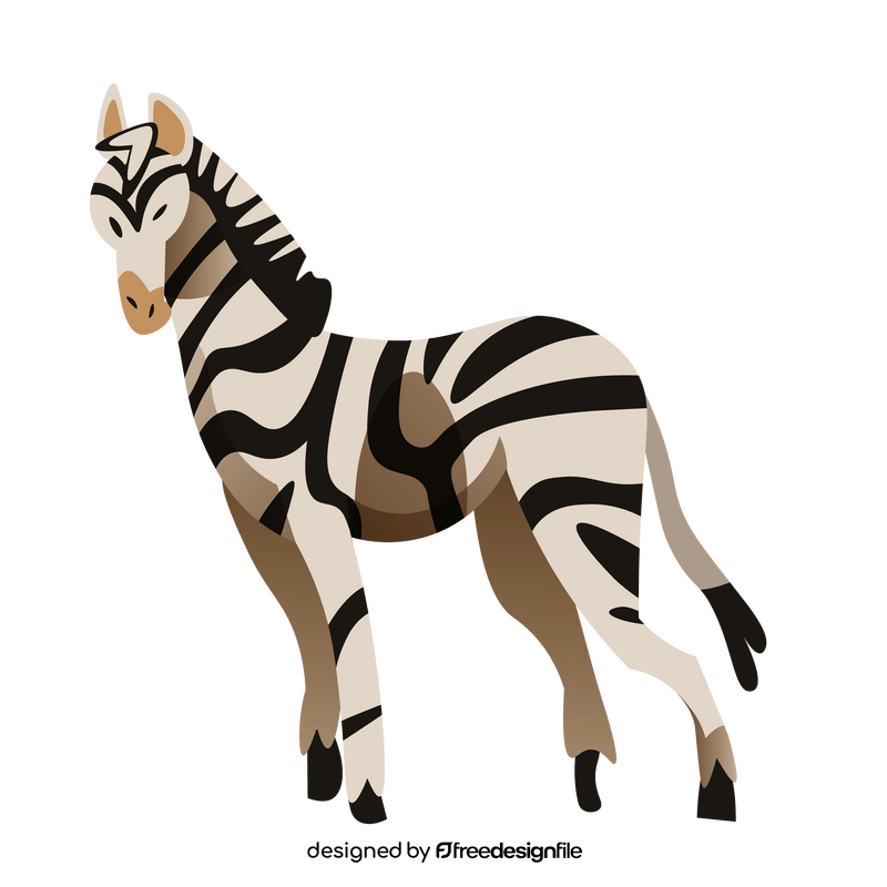 Zebra cool clipart