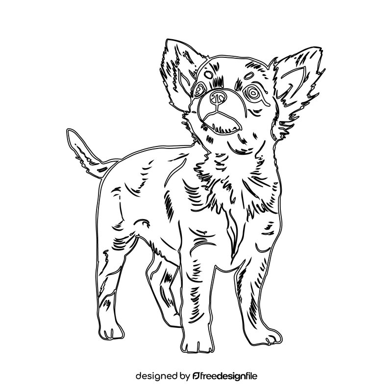 Chihuahua black and white clipart