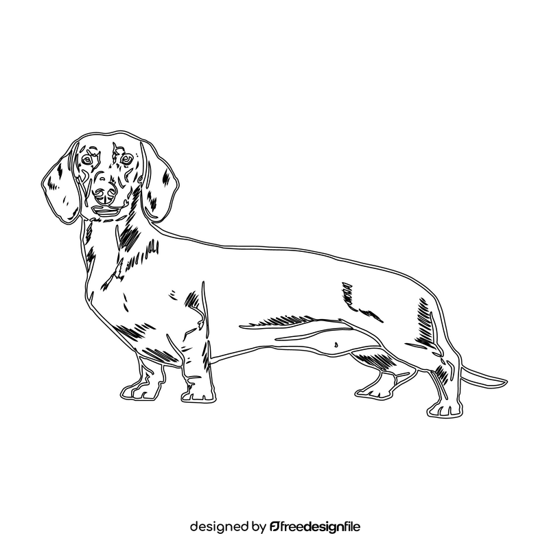 Dachshund black and white clipart