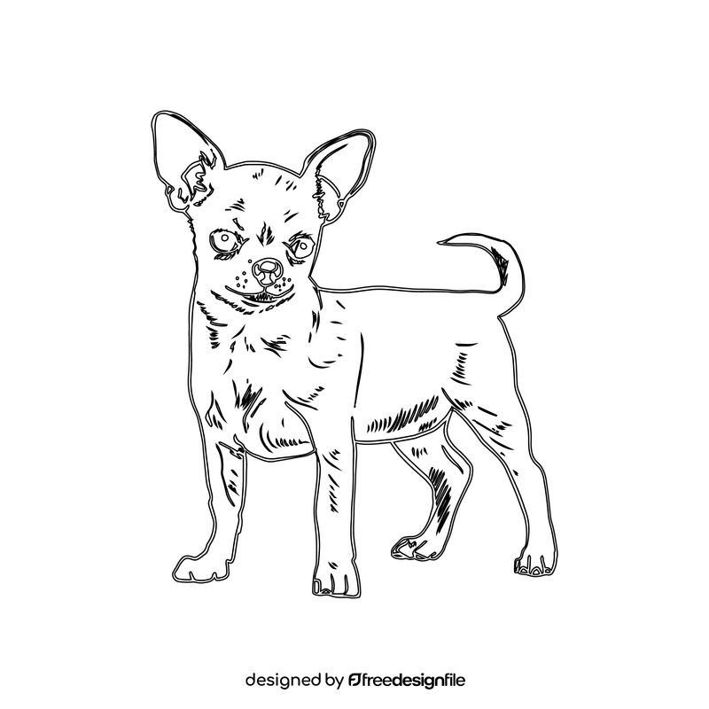 Chihuahua black and white clipart
