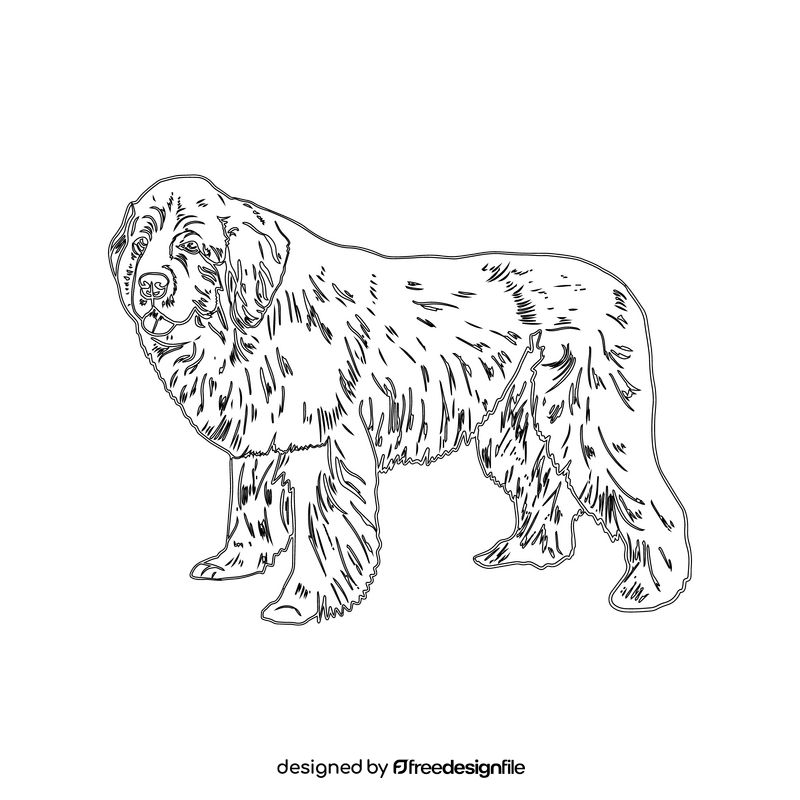 Newfoundland Dog black and white clipart