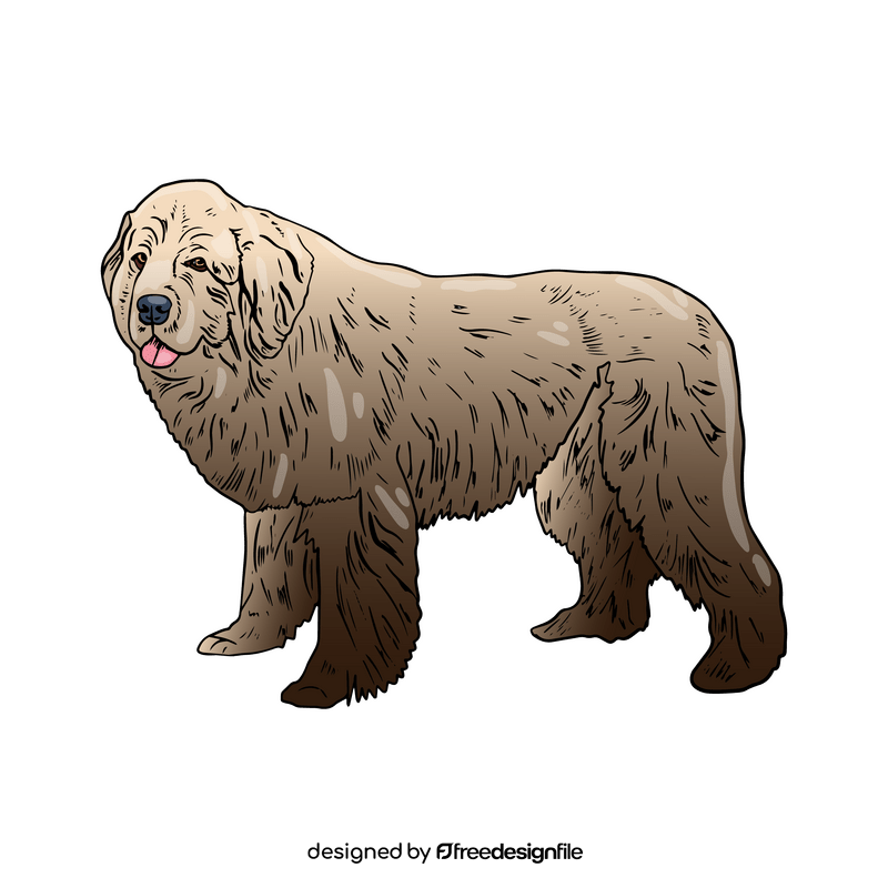 Newfoundland Dog clipart