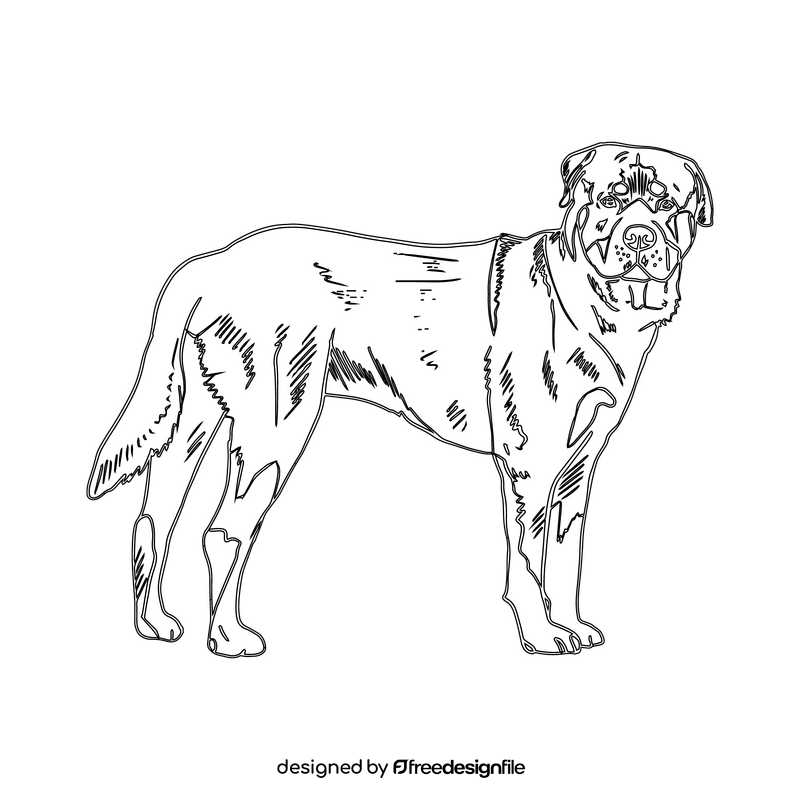 Rottweiler black and white clipart