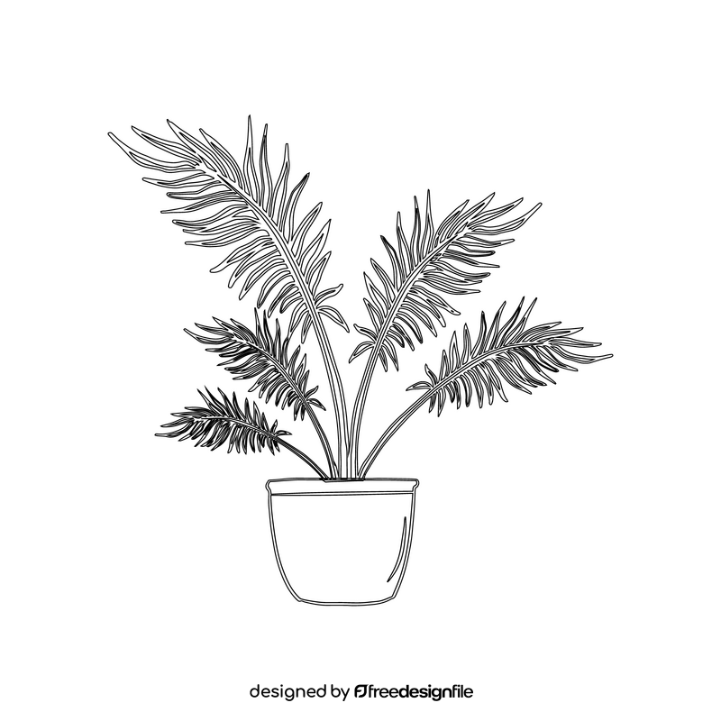 Majesty Palm black and white clipart