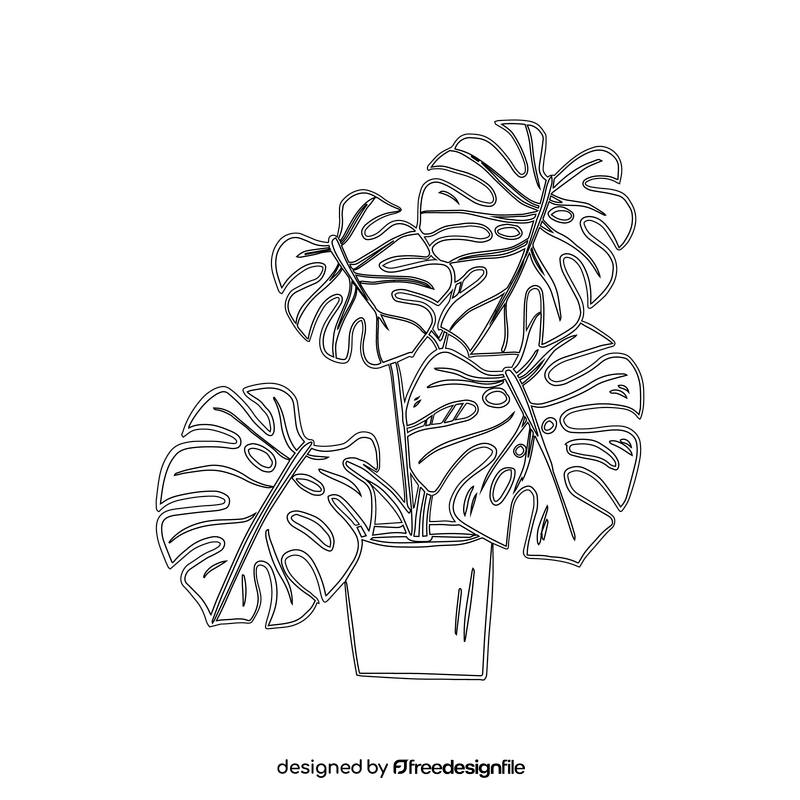 Monstera Deliciosa black and white clipart