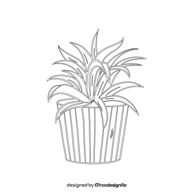 Spider Plant black and white clipart