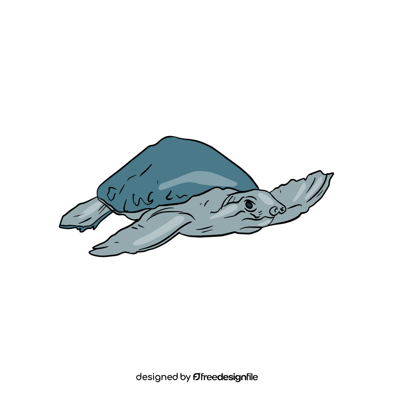Blue Sea Turtle clipart