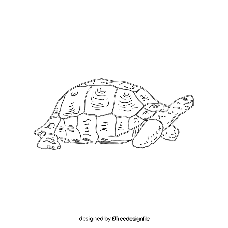 African Sideneck Turtle black and white clipart