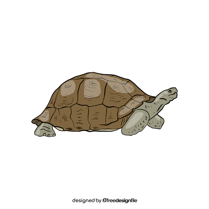 African Sideneck Turtle clipart