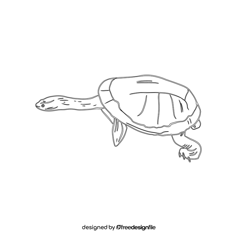 Long Necked Turtle black and white clipart