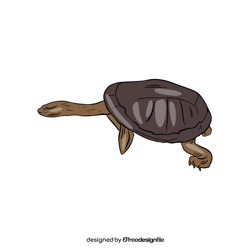 Long Necked Turtle clipart