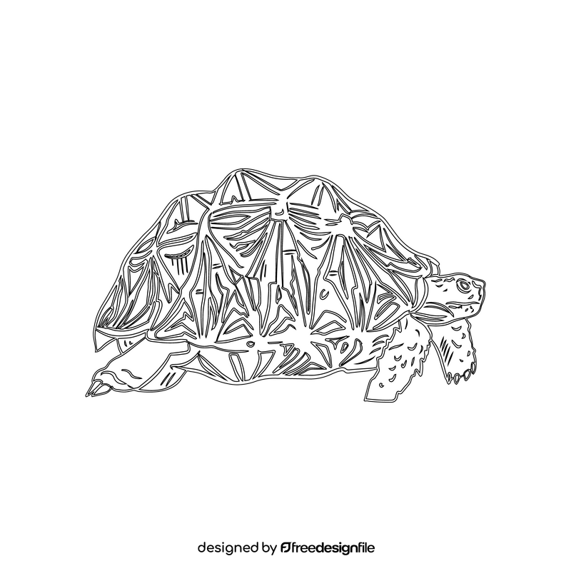 Eastern Box Turtle black and white clipart