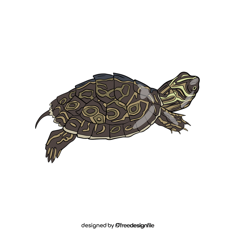 Western Painted Turtle clipart