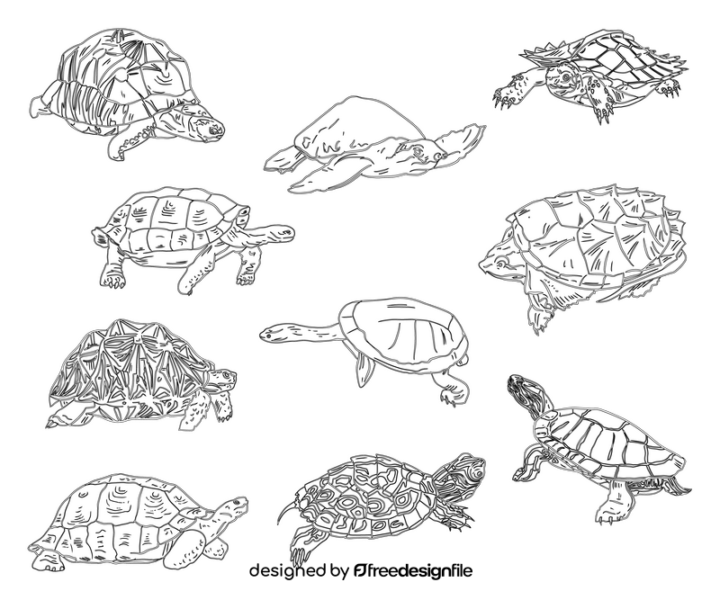 Set of Turtles black and white vector