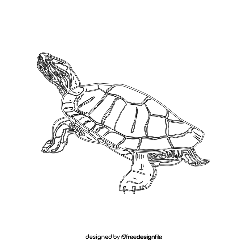 Wood Turtle black and white clipart