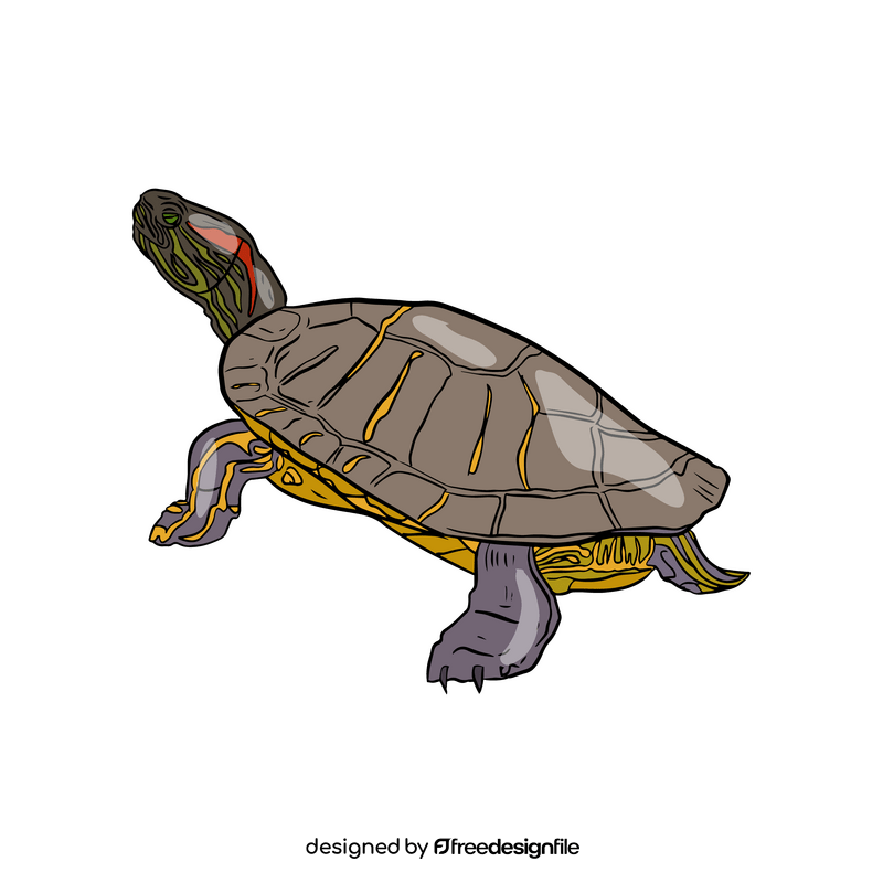Wood Turtle clipart