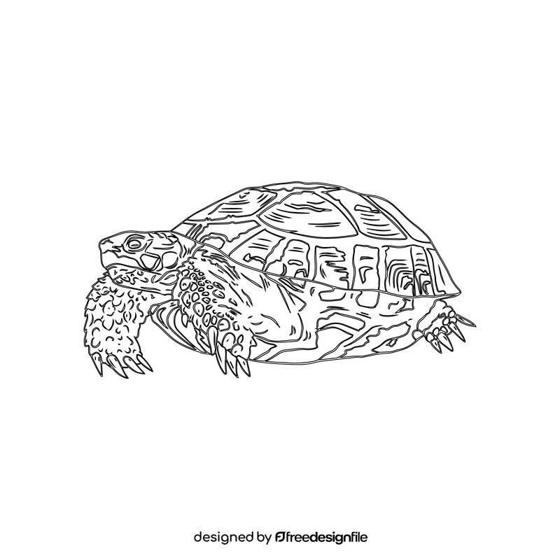 Western Painted Turtle black and white clipart