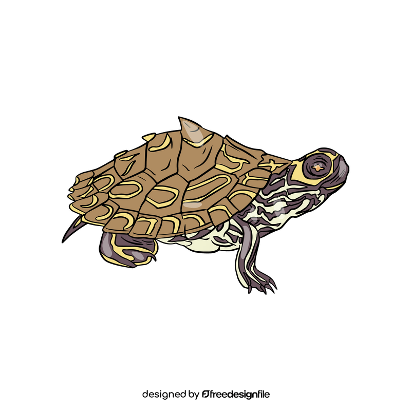 Turtle clipart