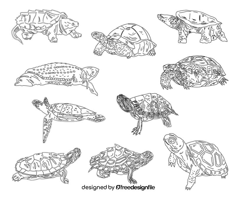 Set of Turtles black and white vector