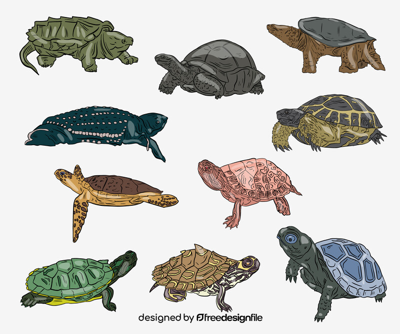 Set of Turtles vector