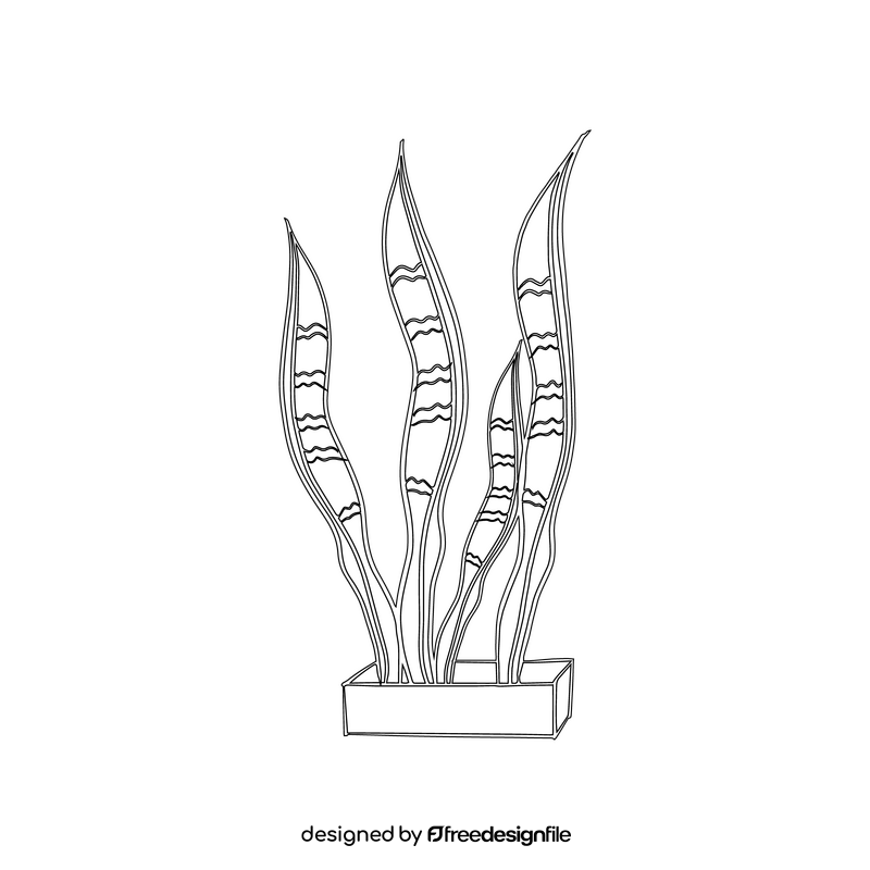 Snake Plant black and white clipart