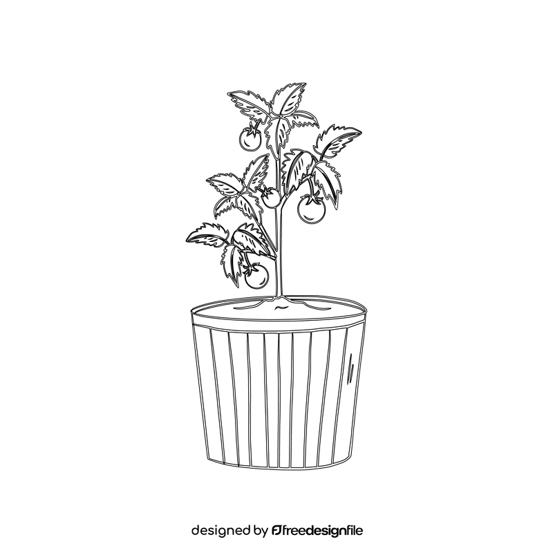 Tomato Plant in Pot black and white clipart