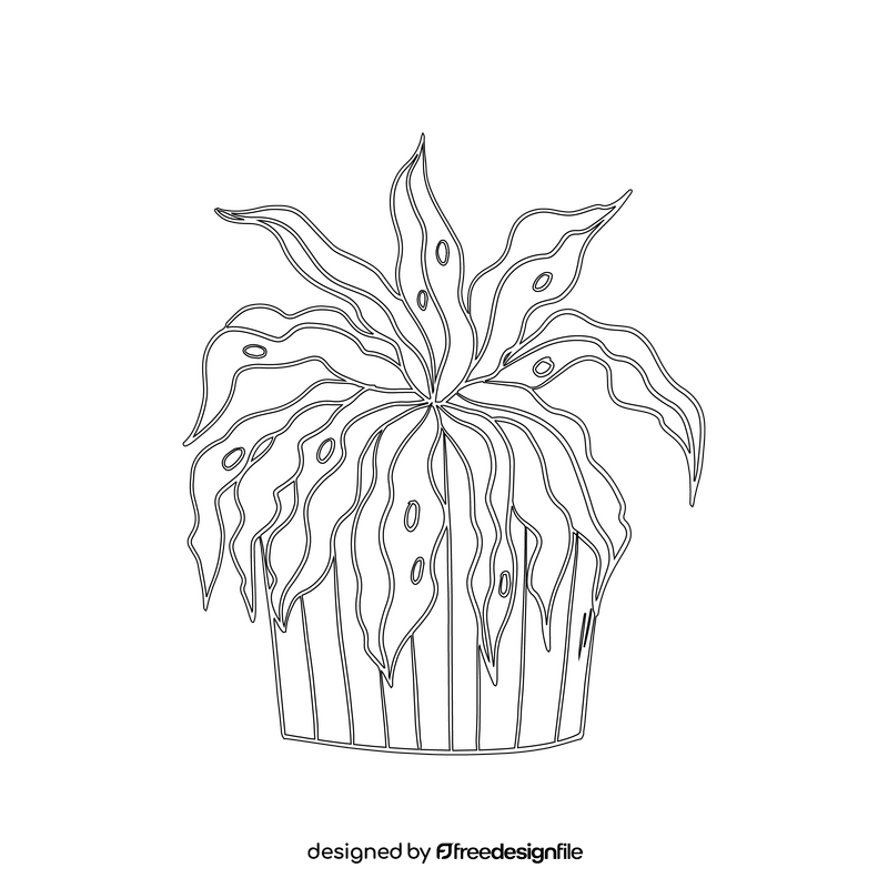 Spider Plant black and white clipart