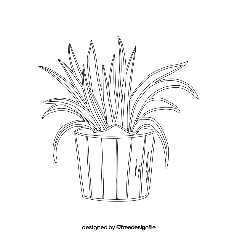 Spider Plant black and white clipart