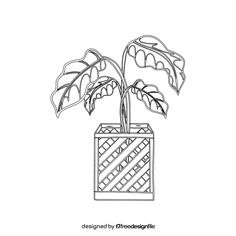 Croton in Wooden Pot black and white clipart