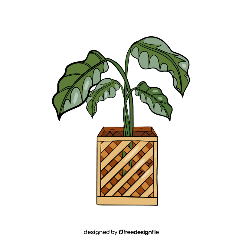 Croton in Wooden Pot clipart