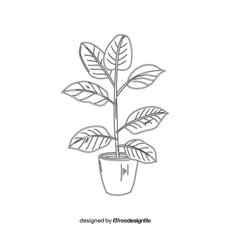 Baby Rubber Plant black and white clipart free download