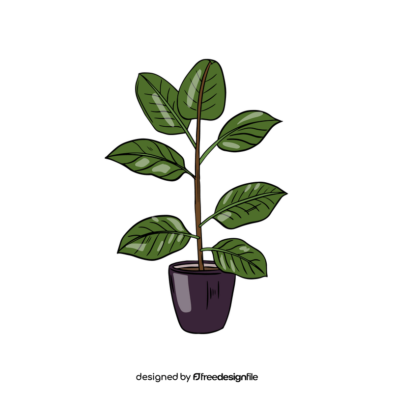 Baby Rubber Plant clipart