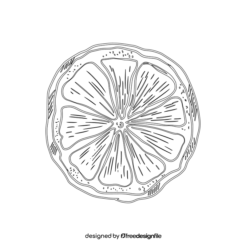 Dried lemon black and white clipart