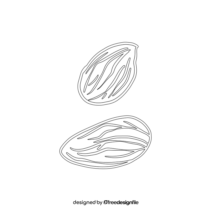 Almond black and white clipart