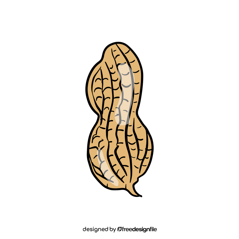 Peanut clipart