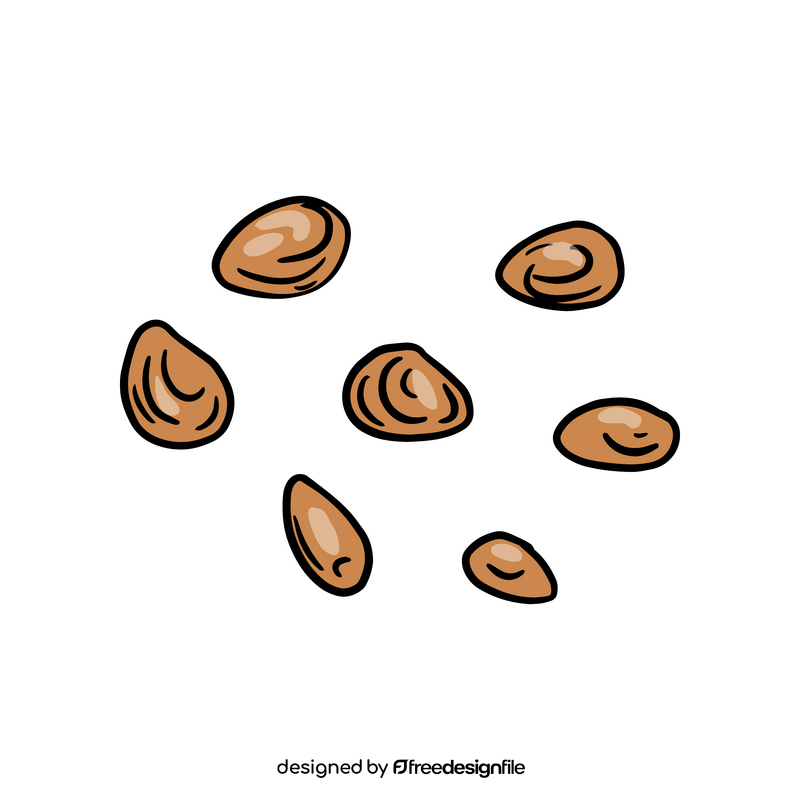 Pine nuts clipart