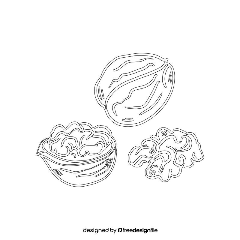 Walnut black and white clipart