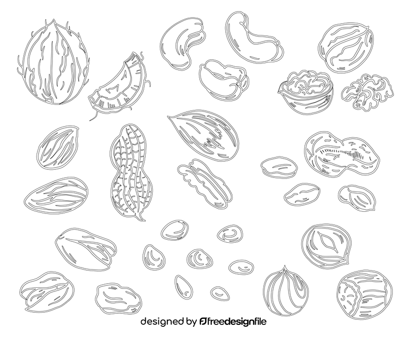 Nuts black and white vector