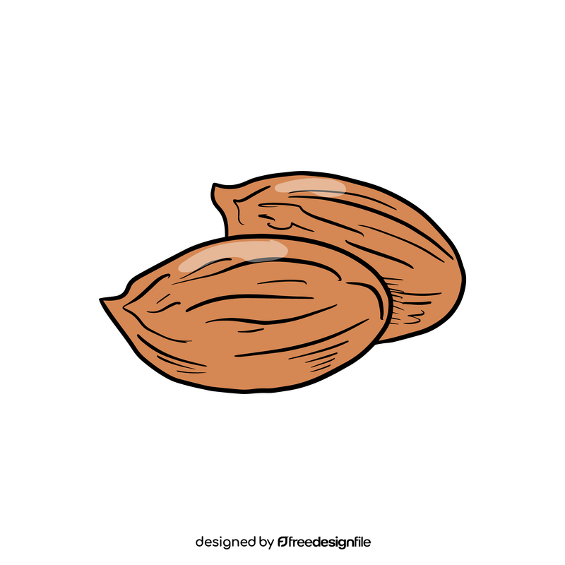 Apricot nuts clipart