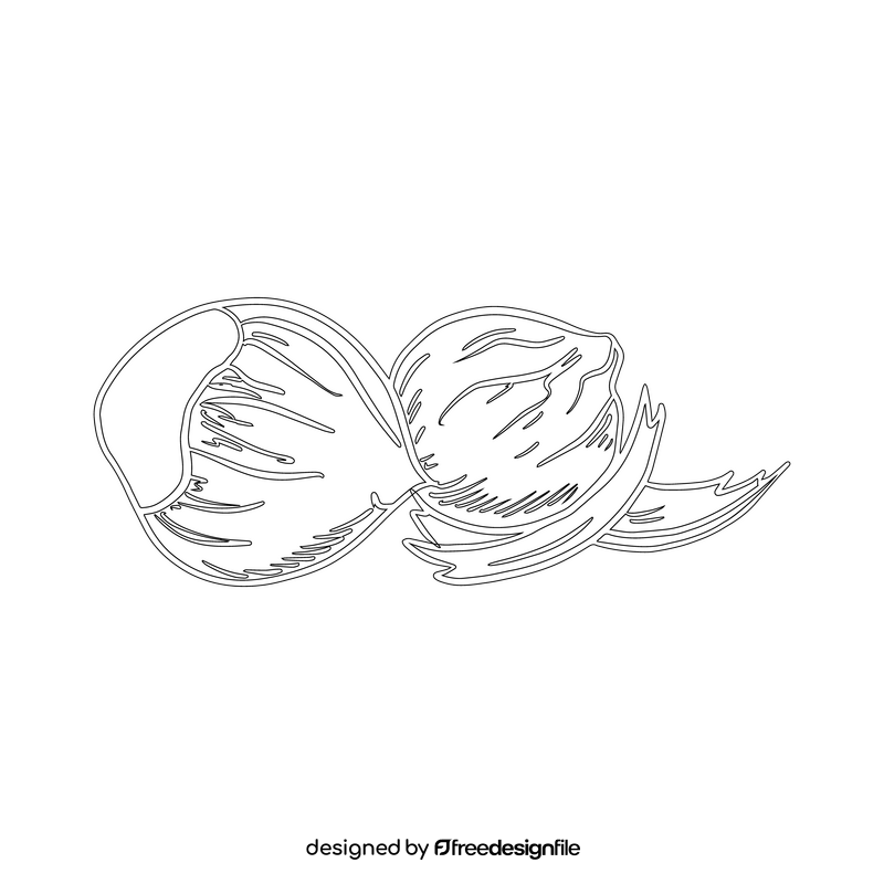 Hazelnut black and white clipart