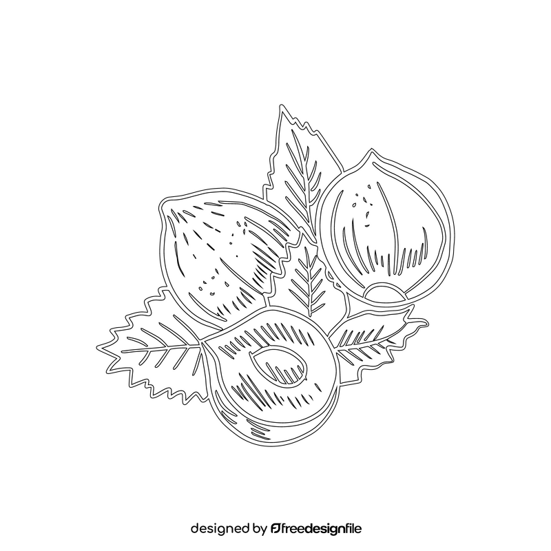 Hazelnut black and white clipart