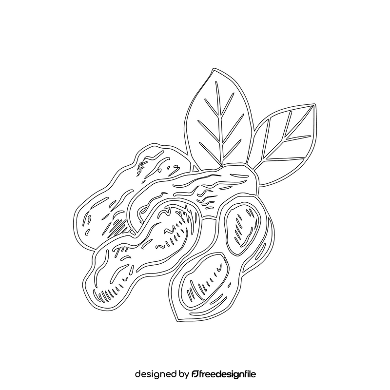 Peanut black and white clipart