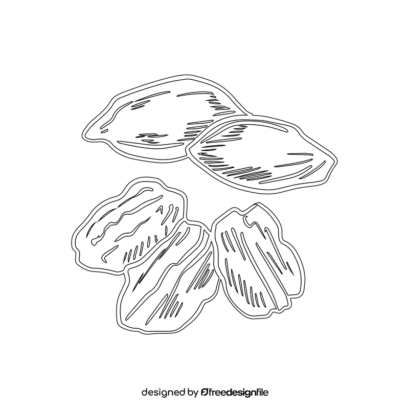 Pecan nuts black and white clipart