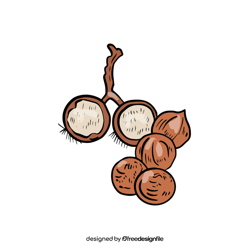 Nuts clipart