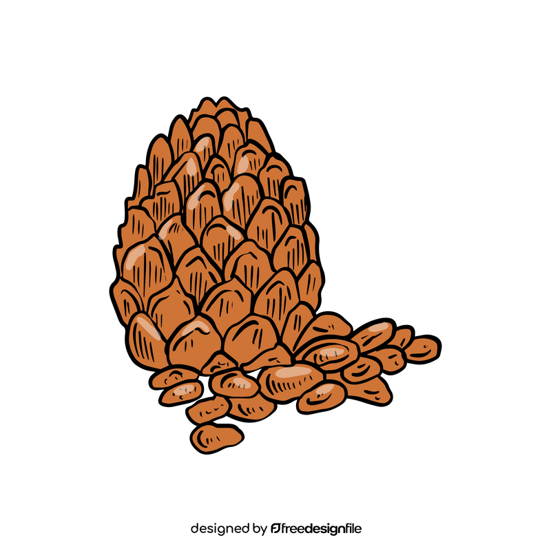 Pine nuts clipart