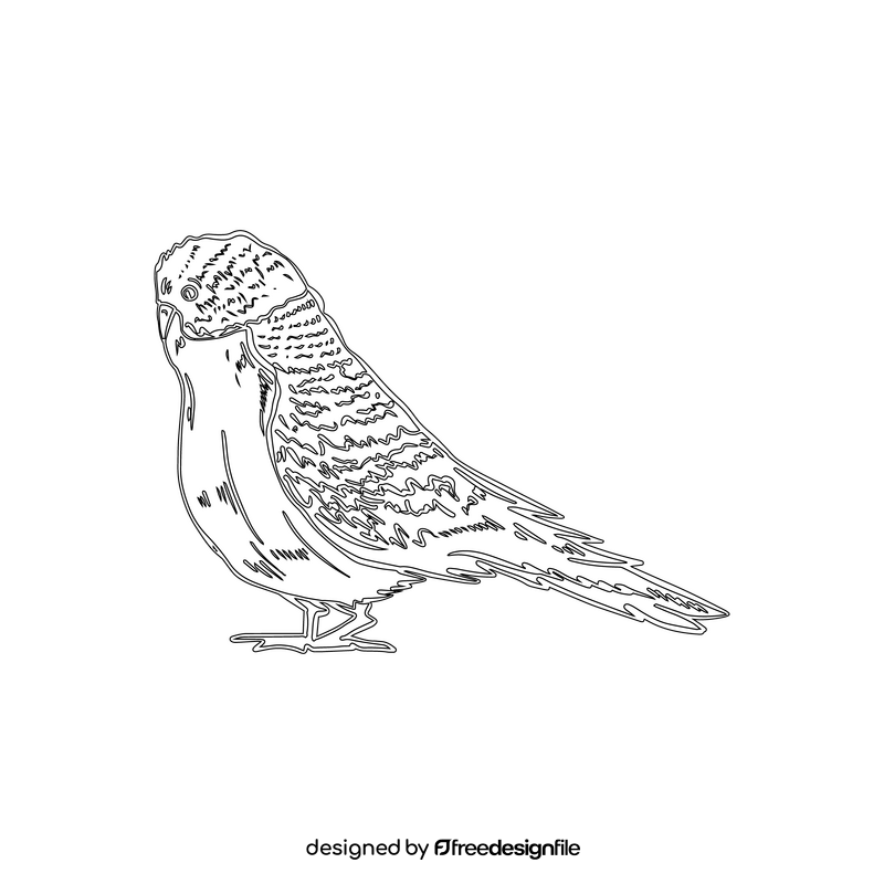 Parrot black and white clipart