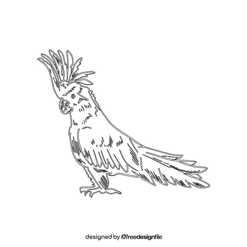 Sulphur crested cockatoo black and white clipart