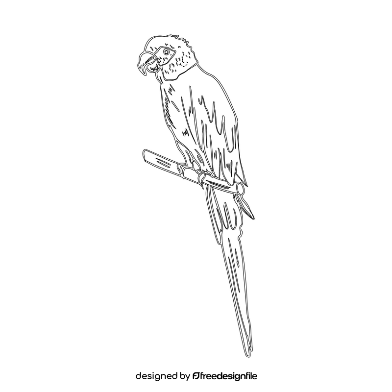Scarlet macaw parrot black and white clipart