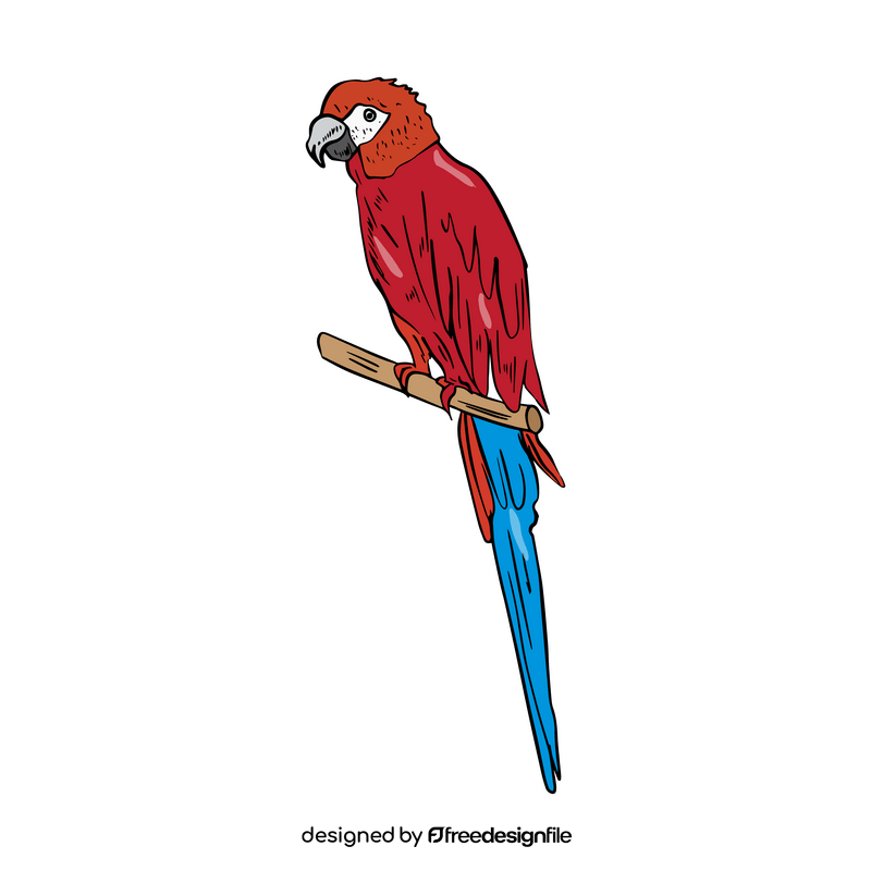 Scarlet macaw parrot clipart